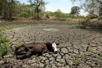 2014-01-05-drought2013earthdrreesehalter2-thumb.jpg